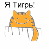 IOpok