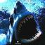 Sharky